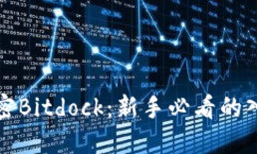 全面解密Bitdock：新手必看的入门教程