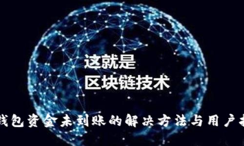 TP钱包资金未到账的解决方法与用户指南