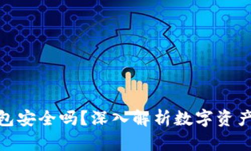 硬件钱包安全吗？深入解析数字资产安全性