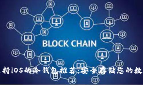 最佳支持iOS的冷钱包推荐：安全存储您的数字资产