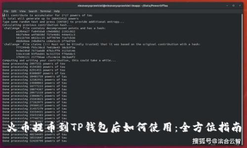火币提币到TP钱包后如何使用：全方位指南