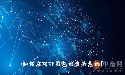 如何应对TP钱包被盗的危机？