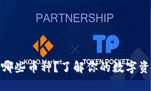 冷钱包支持哪些币种？了解你的数字资产安全之道