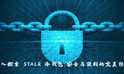 深入探索 STALR 冷钱包：安全与便利的完美结合