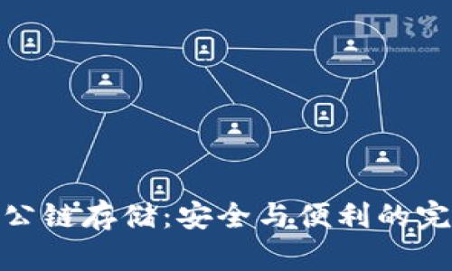 冷钱包公链存储：安全与便利的完美结合