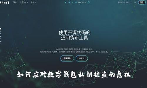 如何应对数字钱包私钥被盗的危机