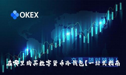 在哪里购买数字货币冷钱包？一站式指南