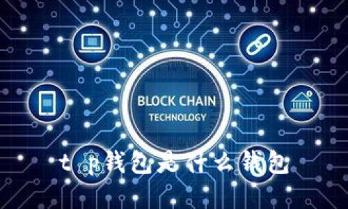 t p钱包是什么钱包