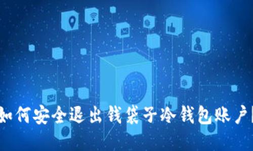 如何安全退出钱袋子冷钱包账户？