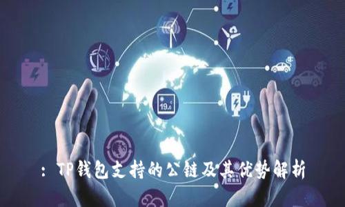 : TP钱包支持的公链及其优势解析