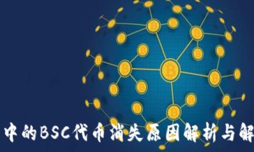   
TP钱包中的BSC代币消失原因解析与解决方法