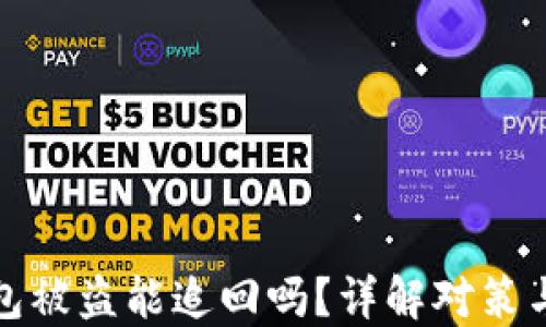 
虚拟币钱包被盗能追回吗？详解对策与预防措施