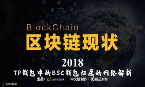 TP钱包中的BSC钱包归属的网络解析