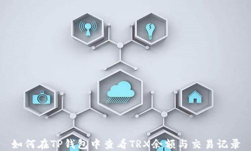 
如何在TP钱包中查看TRX余额与交易记录