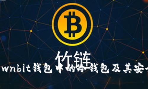 什么是Ownbit钱包中的冷钱包及其安全性分析