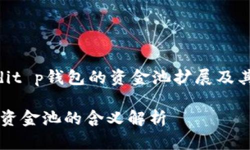 niaodi/niaodit p钱包的资金池扩展及其含义/niaodi

t p钱包增加资金池的含义解析