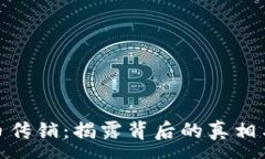 :波场币传销：揭露背后的