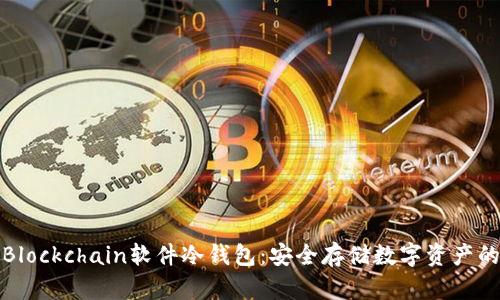 深入探讨Blockchain软件冷钱包：安全存储数字资产的最佳选择