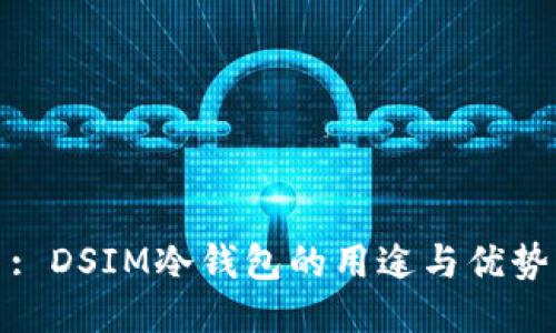 : DSIM冷钱包的用途与优势