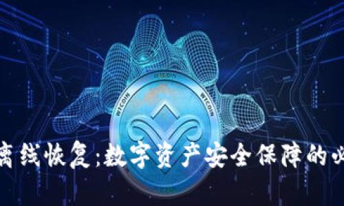 冷钱包离线恢复：数字资产安全保障的必备知识