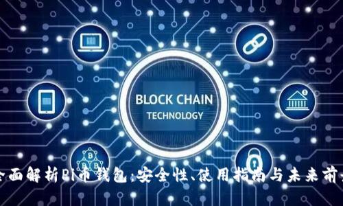 全面解析Pi币钱包：安全性、使用指南与未来前景