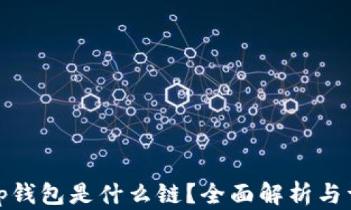 
Uniswap钱包是什么链？全面解析与详细介绍