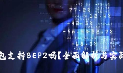TP钱包支持BEP2吗？全面解析与实际应用