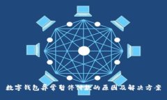 数字钱包异常暂停付款的