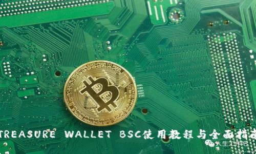 TREASURE WALLET BSC使用教程与全面指南