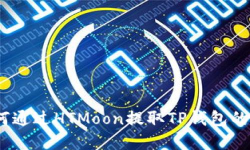:如何通过HTMoon提取TP钱包的资产