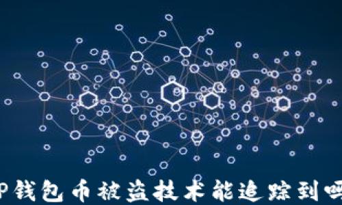 
TP钱包币被盗技术能追踪到吗？