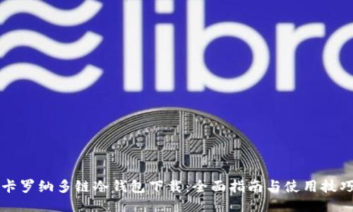 卡罗纳多链冷钱包下载：全面指南与使用技巧