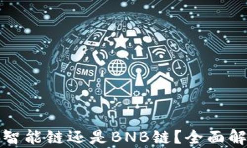 
TP钱包是智能链还是BNB链？全面解析与比较