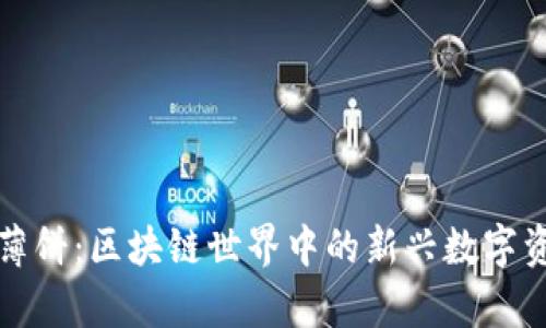 TP钱包薄饼：区块链世界中的新兴数字资产解析