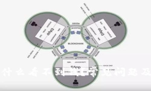 TP钱包为什么看不到钱？常见问题及解决方案