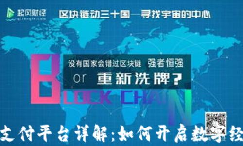 
数字货币支付平台详解：如何开启数字经济新时代